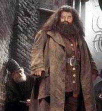 Entre los personajes más importantes en la vida de Harry esta el profesor Dumbledore, director de Howarts y Hagrid, guardabosques de la escuela.