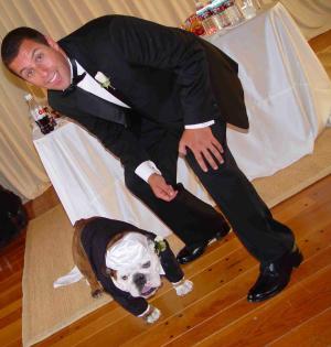 El perro de Adam, Meatball, un bulldog fue uno de los invitados a la boda del actor, él cual lució un esmoking hecho a la medida.