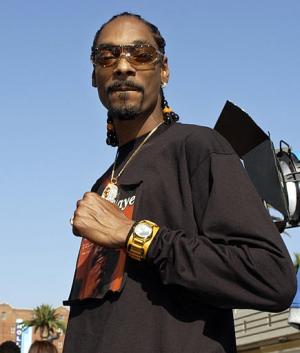 Varios acompañantes del cantante de Hip-Hop Snoop Dogg fueron detenidos por la policía antes de entrar a los premios, por posesión ílegal de armas.