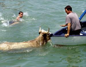 Si bien no hubo corneados en el encierro, en el tramo inicial dos toros quedaron separados de la manada. Esta situación es peligrosa, puesto que los toros solitarios son más peligrosos que cuando galopan en manada. Desde 1924, 13 corredores han muerto en el encierro. El último en morir fue un estadounidense, que murió tras una cornada en 1995.