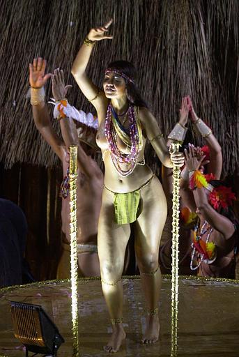 Las entradas a la fiesta del sambódromo, la principal atracción del carnaval, son algunas veces demasiado costosas para la mayoría de los brasileños, por lo que una buena parte de la población se queda a admirar los desfiles desde su casa.