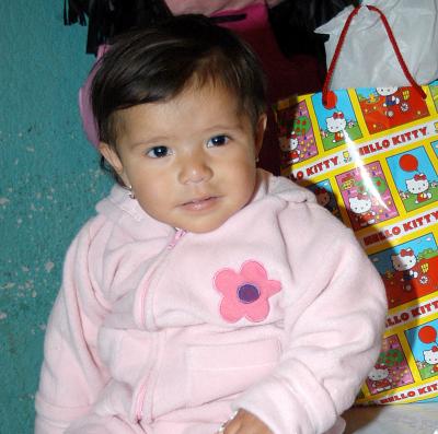 Frida Andrea de la Cruz festejó su primer año de vida, con una divertida fiesta que le organizaron sus papás.