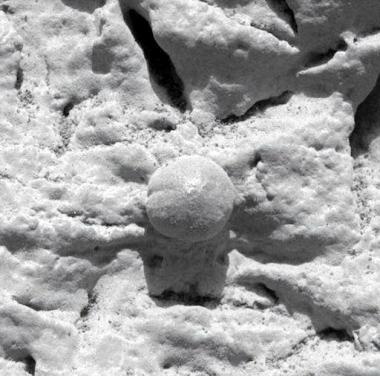 El robot encontró que la composición de las rocas era rica en azufre, magnesio y hierro.