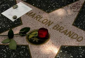 Si la industria de Hollywood estaba acostumbrada a las estrellas, con la llegada de Brando el cine supo que había otra madera de actores, esa interesada en la interpretación y no en la fama.