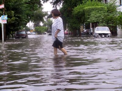 Miguel Baldemar Larrañaga, meteorólogo de la Gerencia Regional de la CNA, dio a conocer que el sistema de baja presión llegó a la Comarca Lagunera desde el pasado miércoles, pero debido a las altas temperaturas no ocurrieron lluvias hasta la madrugada y parte de la mañana del jueves.
