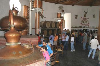 Cada diez de agosto, Día de San Lorenzo es día de la fiesta de la Vendimia en Parras de la Fuente, Coahuila.