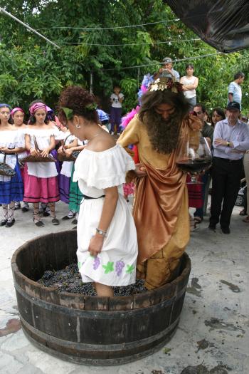 Después el dios Baco hace lo mismo para dejar su lugar a niños y adultos que no dudan en quitarse los zapatos y calcetines para sentir las uvas en los pies. Recreando así el método más primitivo para obtener su jugo.
