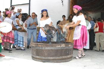 La fiesta en Parras ha comenzado y en los jardines de Casa Madero conviven ricos y pobres, los estratos sociales son condenados al olvido. Niños y adultos comen uvas mientras algunos extranjeros no dejan de tomar fotografías.
