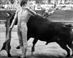 09 de marzo de 2004

La versión de que el diestro acapulqueño Antonio Lomelín Migoni se había suicidado de un balazo, corrió rauda. Finalmente, su hijo Patricio Lomelín Berumen y su amigo y último apoderado, el subalterno Rafael Romero, confirmaron que el fallecimiento del diestro había sido de muerte natural. 

Patricio informó que su padre sufría de hipertensión arterial. 

Su cadáver se descubrió  en su departamento en México.