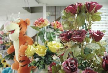 Dentro del mercado regional existe una diversidad de opciones para regalar a la pareja o a los amigos de la escuela u oficina, como son los globos metálicos con helio, arreglos de chocolates o de flores, joyería de oro, anillos de compromiso o ir a cenar y bailar en un buen restaurante.