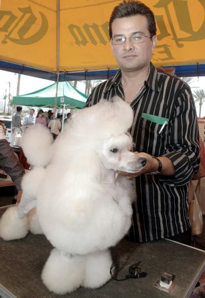 Rafa Pavón Wong, con su poodle mini toy.