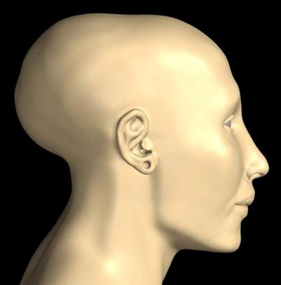 Los peritos fabricaron un primer modelo de plástico de la calavera de Tutankamón, y después la rellenaron con plastilina con la colaboración de escultores y arqueólogos egipcios.