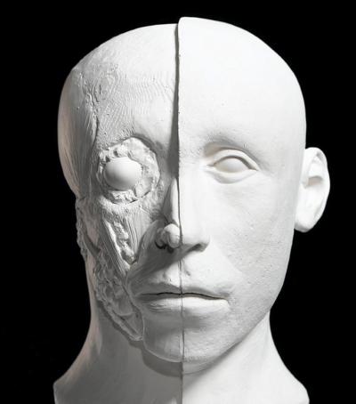 Los expertos han coincidido casi completamente en la forma del cráneo, del rostro y los ojos, pero han discrepado en torno a la configuración que tenían la nariz y las orejas del famoso faraón.