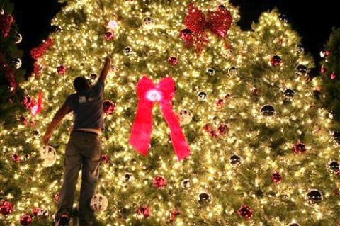 Un hombre decora un árbol navideño en Panamá.
