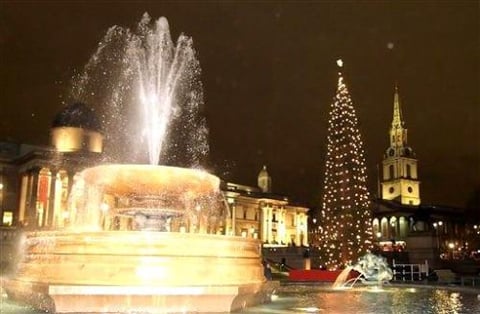 Desde hace medio siglo, cada año los noruegos envían un enorme árbol de Navidad a Inglaterra en agradecimiento por la ayuda recibida durante la Segunda Guerra Mundial. El árbol se instala en la plaza de Trafalgar