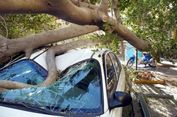 En la avenida Juárez y la calle Juan Antonio de la Fuente, un auto Ford Escort de procedencia extranjera color blanco, fue aplastado por un árbol.