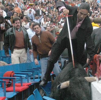 'Pajarito' fue sacrificado con un estoque en las mismas butacas de la plaza.
