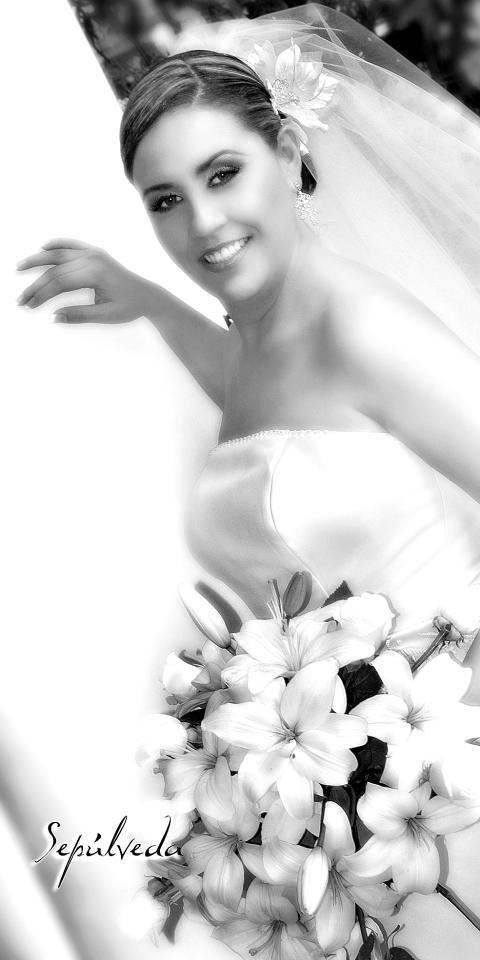 Srita. Virginia Castillo Mendoza el día de su enlace nupcial con el C.P. Vicente Guillén Rodríguez.




Estudio fotográfico: Sepúlveda