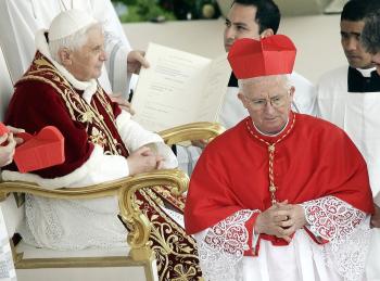 De los 15 cardenales, ocho son europeos, tres asiáticos, dos estadounidenses, un africano y un iberoamericano. Doce tienen menos de 80 años, por lo que pueden participar en un eventual cónclave para elegir Papa, y los tres restantes son octogenarios, por lo que no son electores.