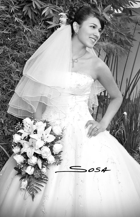 Srita. Gabriela Guadalupe Pámanes Castañón unió su vida en matrimonio a la del Sr.Gilberto Chacón Sánchez.


Estudio: Sosa.