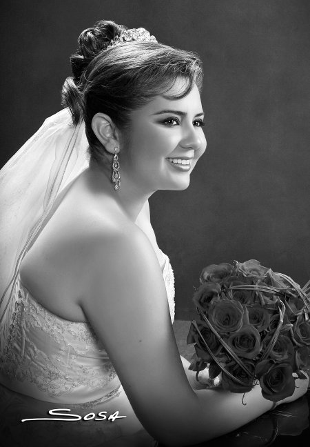 I.B.Q Diana Cázares Vargas contrajo matrimonio con el I.E. Raúl Ramírez Valadez.

Estudio Sosa