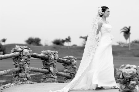 Srita. Ana Cristina de la Peña Morales, el día de su boda con el Sr. Isaías Millán Simental.- 
Carlos Maqueda.