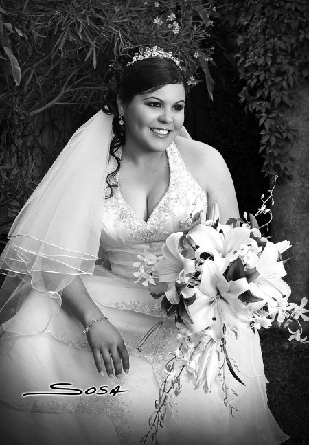 LCC. Mónica Griselda Cervera Jiménez el día de su boda con el Ing. José Francisco Martínez Castillo. 

Studio Sosa
