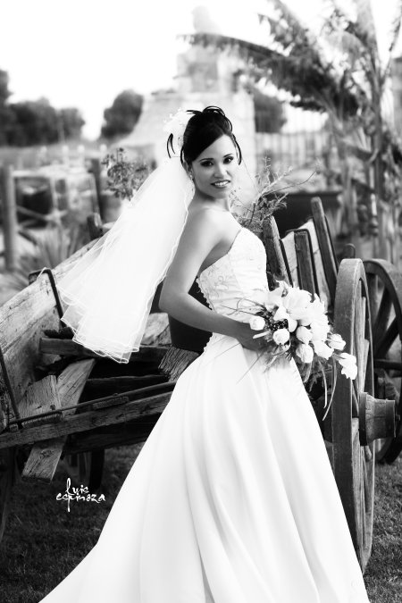 Srita. Maritza Chihuahua Castañón el día de su boda con el Lic. Raúl Anwar Villagómez Sánchez.

Estudio Luis Espinoza.