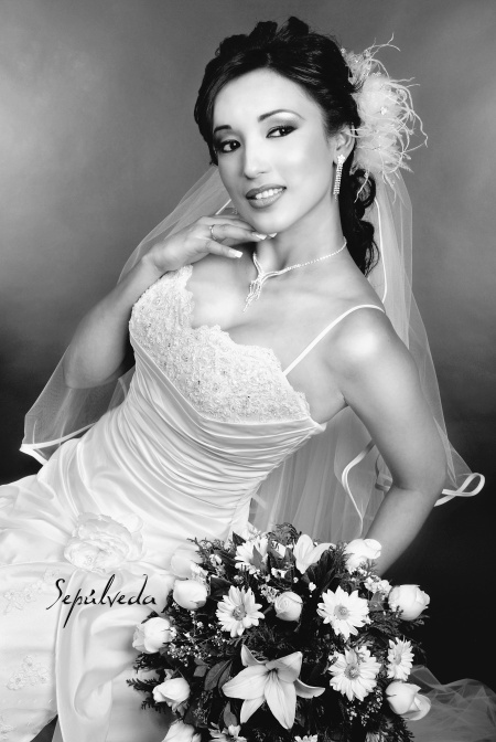 I.I.S. Yadira Berenice Medina Cerda, el día de su boda con el Ing. Miguel Ángel Hatchett García. 

Estudio Sepúlveda
