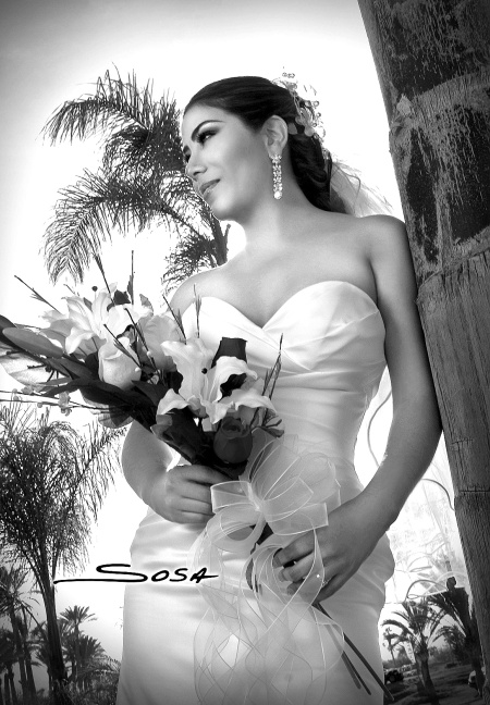 Srita. Blanca Ivonn Escamilla Martínez el día de su boda con el Ing. Emilio Gutiérrez Villanueva. 

Studio Sosa