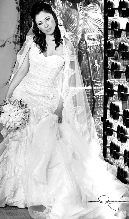 Srita. Abigaíl Montiel López, el día de su enlace matrimonial con el Sr. Gabriel González Aguilera. 

Estudio Laura Grageda