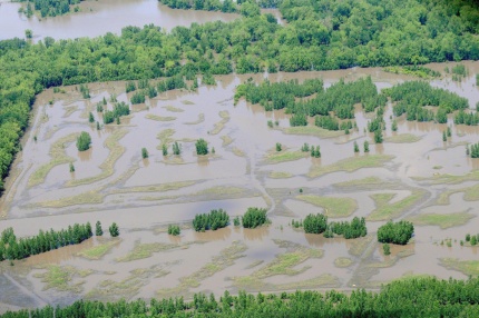 El agua rebasó  nueve terraplenes
artificiales y anegó tierras de
agricultura.