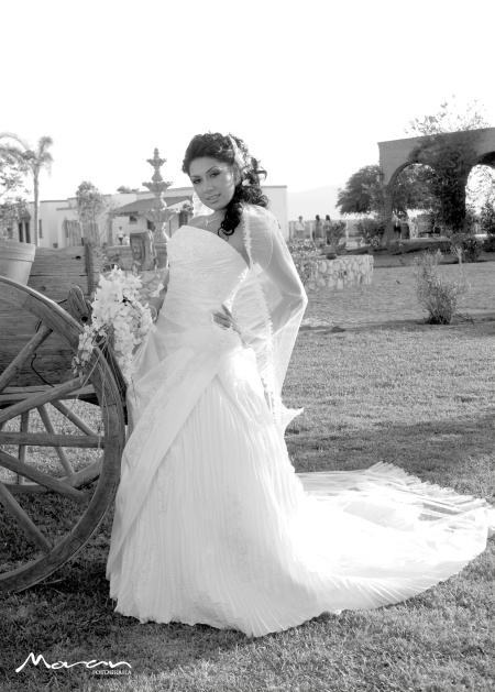 Srita. Madahi Ayala López el día de su boda con el Ing. Gerardo Ernesto Iglesias Padilla.

Estudio Morán