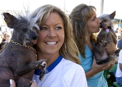 Gus, el perro más feo del mundo, falleció víctima de un cáncer de piel a finales de 2008.
