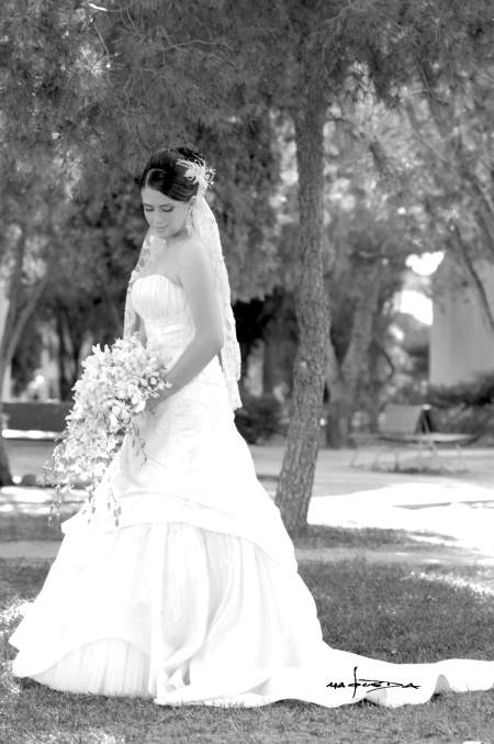 Srita. Nohemí Pámanes González el día que contrajo sagrado matrimonio con el Sr. Ricardo Stackpole Acosta.


Maqueda Fotografía