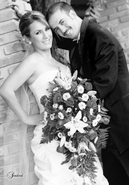 Srita. Tania Janeth Rosales Carreón el día que contrajo matrimonio con  el Sr. Luis Humberto González Orozco.


 Sandoval Fotografía