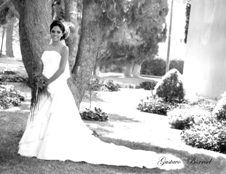 Lic. Marcela Monserrat de la Cruz Seseñas el día de su boda con el Lic. LuisÁngel Robles García.

Gustavo Borroel Fotografía