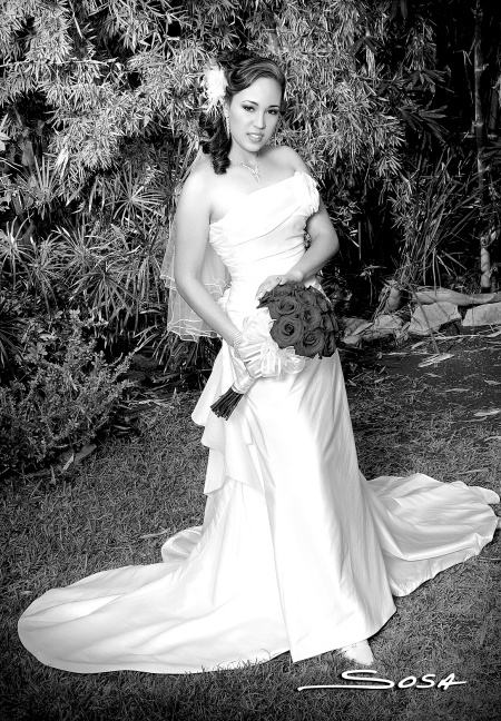 A.E.B. Joana Villalobos Rosales, el día de su boda con el Ing. Julio César García Cisneros.

Studio Sosa