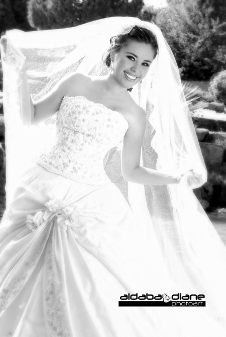 Srita. Alma Silvestre Mirón Orozco el día de su boda con el Sr. César Hernán Vázquez González.

Aldaba & Diane Fotografía