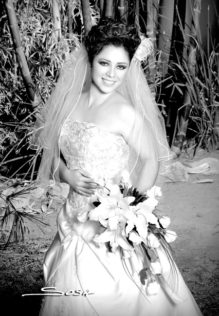 Ing. Argelia Arlet Franco Carrillo el día que contrajo nupcias con M.C. Rafael Zamora Barrientos.

Studio Sosa