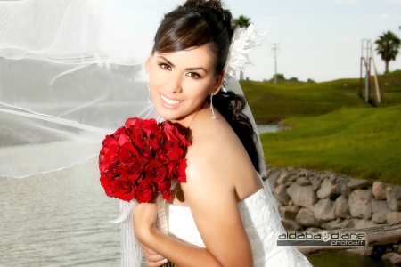 Ing. Érika Yasmín Hernández Ríos el día de su boda con el Ing. Enrique Israel Campos Chávez. 

Aldaba & Diane Fotografía