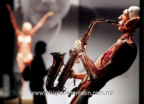 'Bodies, arte más fascinación'