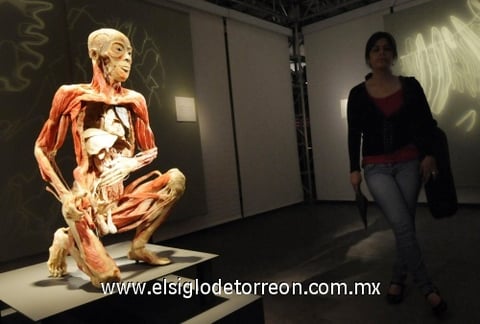 'Bodies, arte más fascinación'