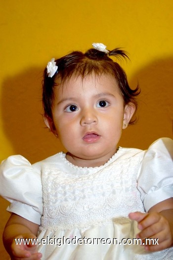 27112009 Alicia Álvarez Saucedo lució muy linda en su fiesta de primer cumpleaños.