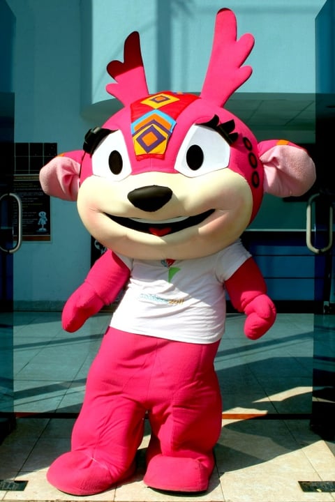 La venadita rosa, se podría llamar Tai (niña) o Huichi (huichol).