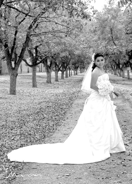 Srita. Jeannie Escajeda Bravo el día de su enlace nupcial con el Sr. Jorge Ernesto Martínez Medina.


Estudio Morán