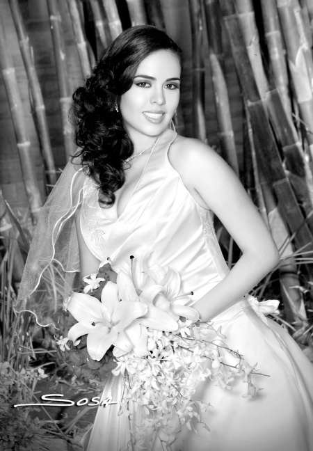 Radiante lució la Srita. Marisol Breceda Torres el día de su boda con el Sr. Ricardo Daniel Leal Martínez.

Studio Sosa
