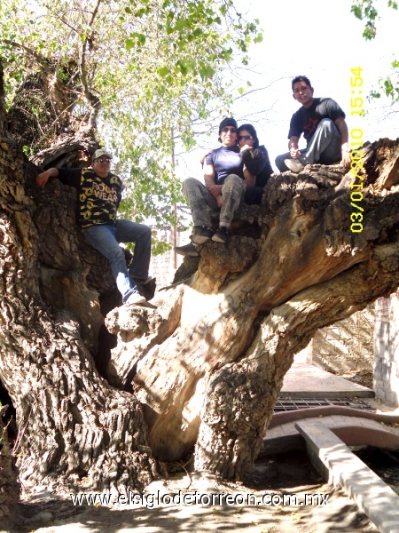 Parras de la Fuente Coahuila 03-ene-2010 en la foto de derecha a izquierda Moisés Galván,Hugo Yañez, Faby Marrufo, Gustavo Cueto. Fotografía enviada por Noe Galván Salazar.