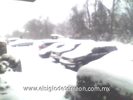 Nevada en Carolina del Norte, USA 2010.
Enviada por Samy Valenzuela.