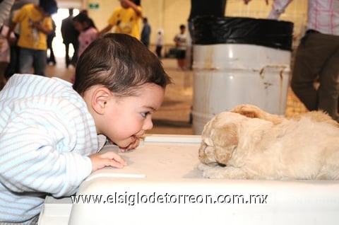 07032010 Santiago Samaniego, admira a los perritos.